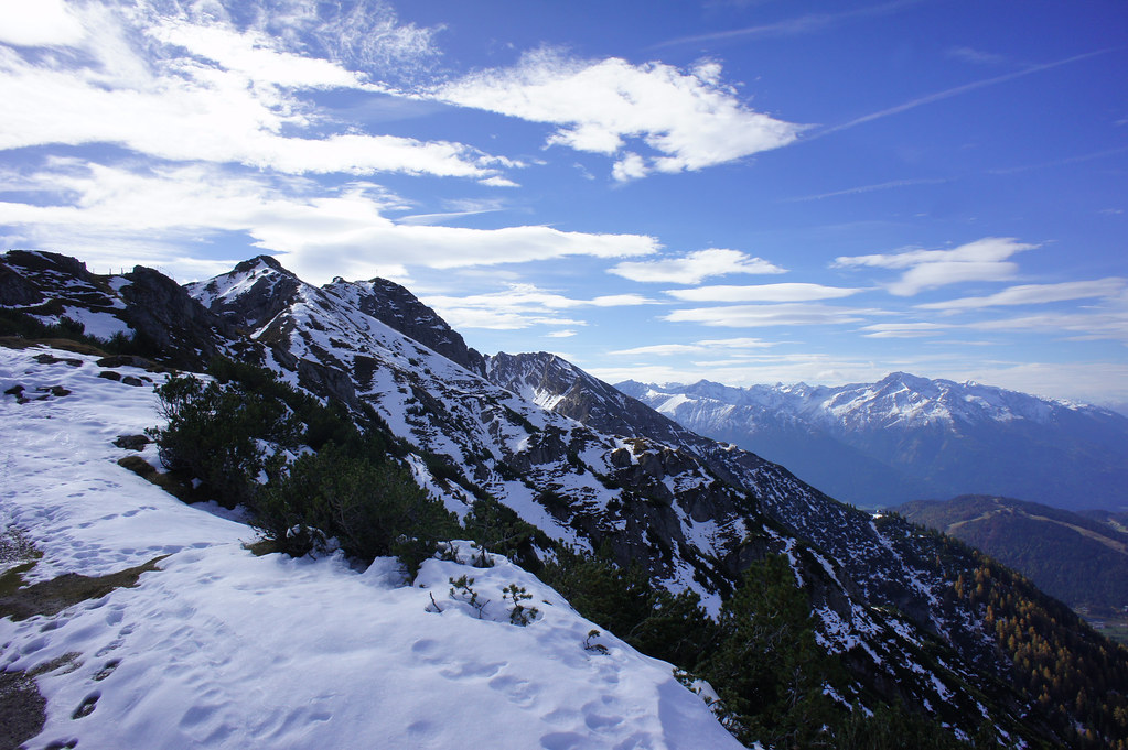Paysagiste taillant une haie dans un jardin aménagé près de Nantes